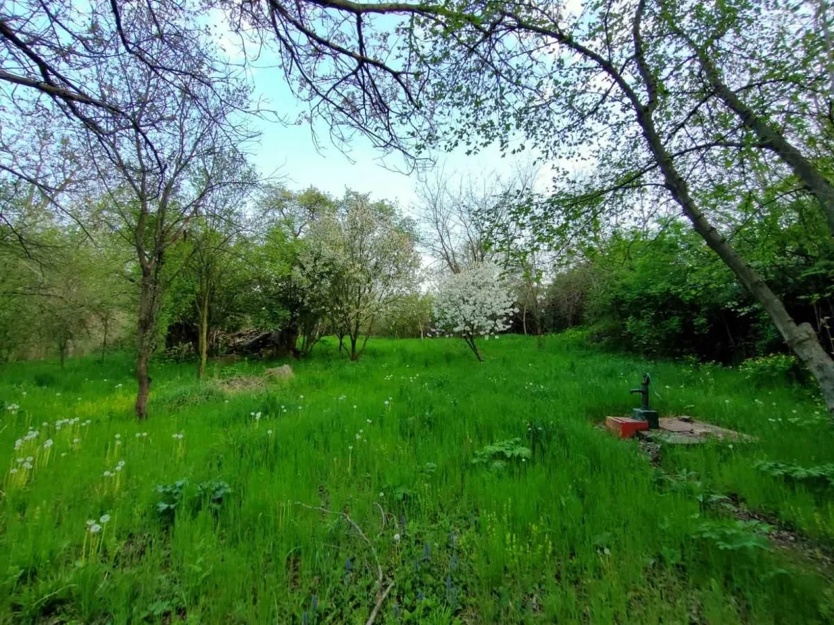Prodaja, kuća, 37m², Čerević, Beočin