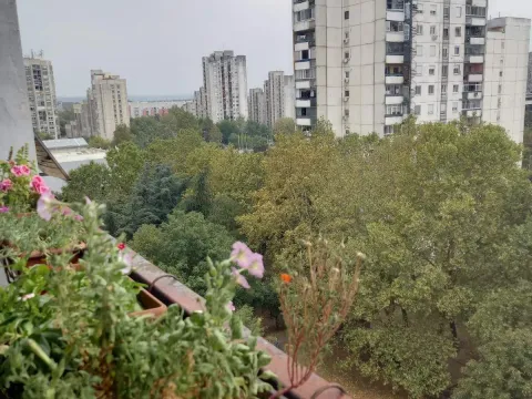 Sale, three bedroom apartment, 74m², Novi Beograd Sve Podlokacije, Beograd - image 4