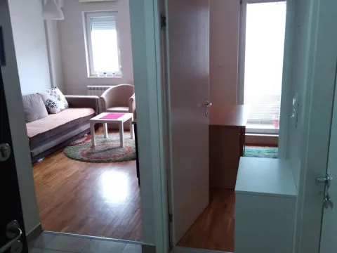 Izdavanje, jednosoban stan, 38m², Zvezdara Sve Podlokacije, Beograd - image 9