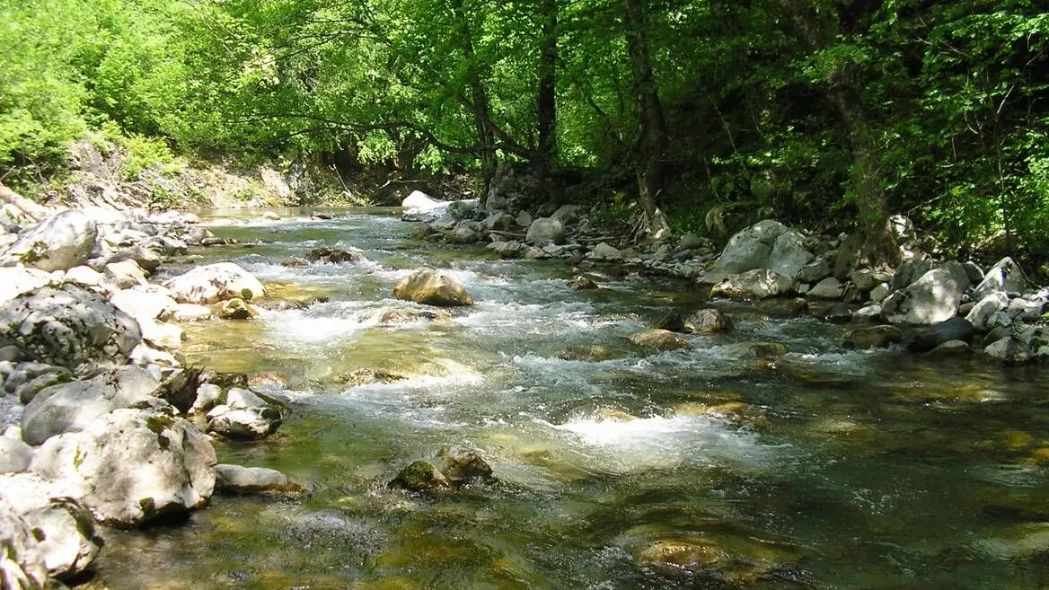 Prodaja, plac, 15588m², Kolašin, Crna Gora