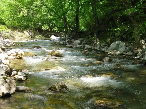 Prodaja, plac, 15588m², Kolašin, Crna Gora - image 9