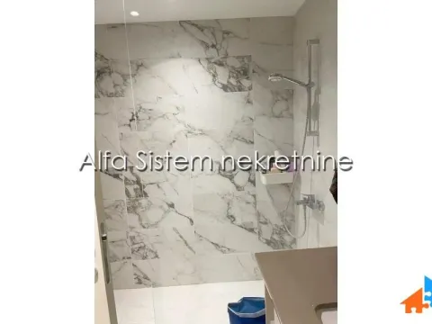 Izdavanje, dvosoban stan, 55m², Savski Venac, Beograd - image 8