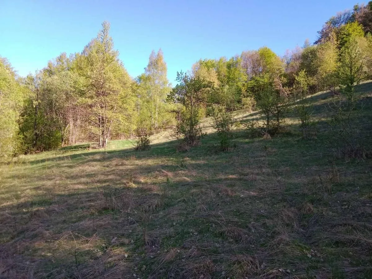 Prodaja, plac, 13700m², Miloševići, Šavnik