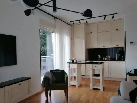 Sale, one bedroom apartment, 41m², Velji Vinogradi, Budva - image 2