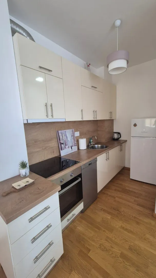Small kitchen with light-colored cabinetry, a wooden countertop, and built-in appliances.