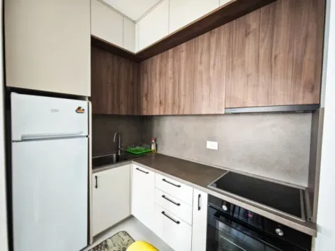 Izdavanje, jednosoban stan, 44m², Zabjelo, Podgorica - image 5