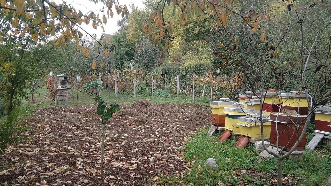 Prodaja, plac, 669m², Mokrine, Herceg Novi