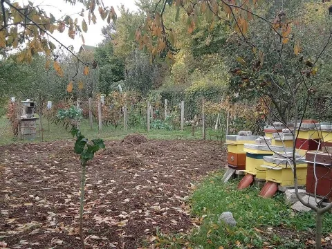 Prodaja, plac, 669m², Kamenovo, Budva - image 7