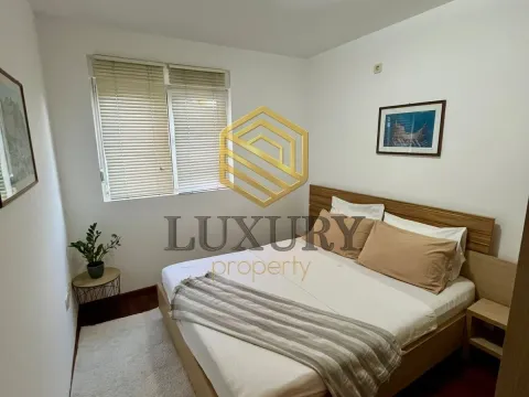 Rent, one bedroom apartment, 44m², Stari Aerodrom, Podgorica - image 3