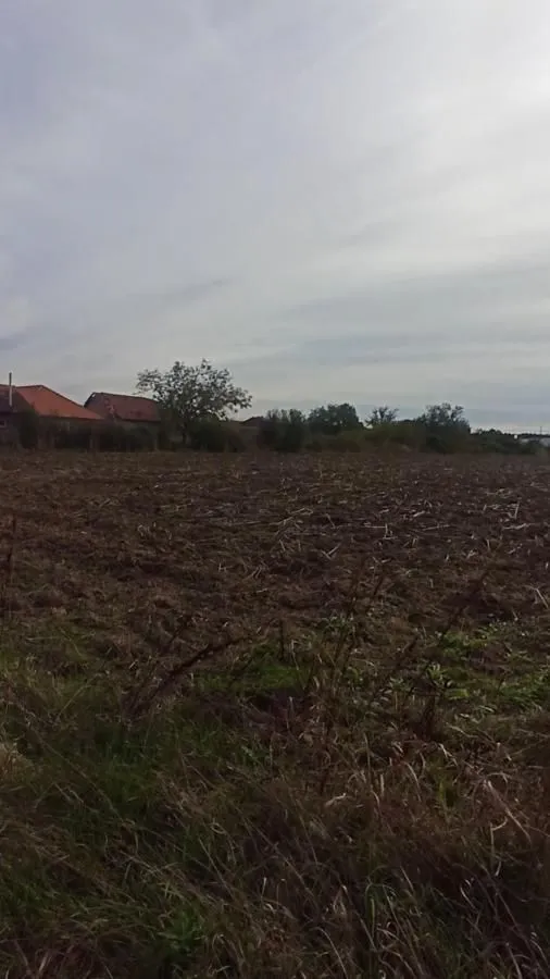 Prodaja, plac, 661m², Jagodina, Srbija
