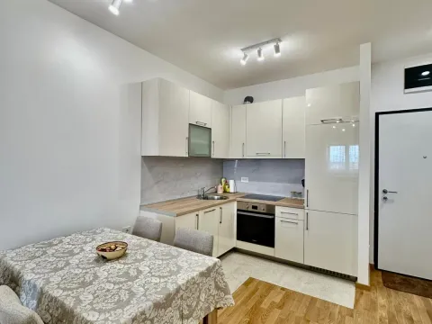 Rent, one bedroom apartment, 47m², Stari Aerodrom, Podgorica - image 2