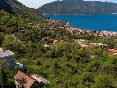 Prodaja, plac, 12941m², Risan, Kotor - image 4