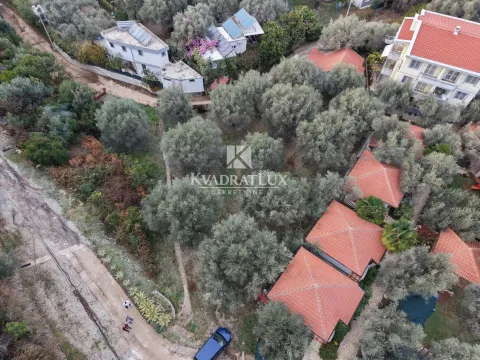 Pogled iz vazduha na imanje sa kućama i maslinjakom. - image 8