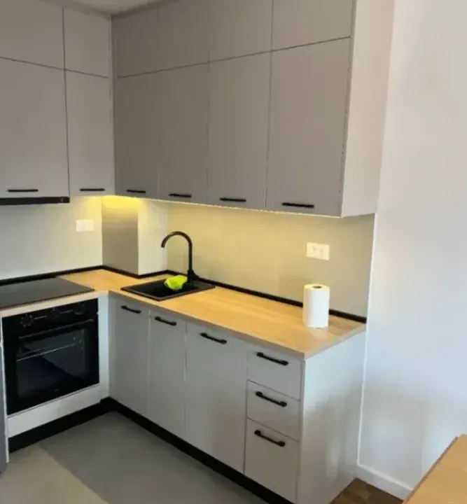 Izdavanje, jednosoban stan, 47m², Stari Aerodrom, Podgorica