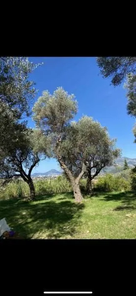 Prodaja, plac, 3770m², Bar, Crna Gora