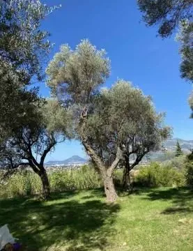 Prodaja, plac, 3770m², Bar, Crna Gora