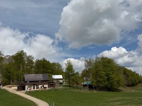 Prodaja, plac, 6075m², Pošćenski Kraj, Žabljak - image 3