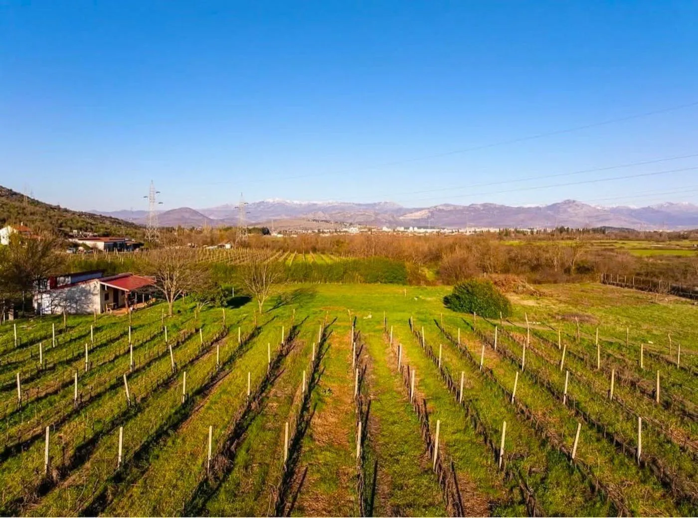 Prodaja, plac, 13000m², Beri, Podgorica
