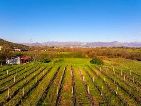 Prodaja, plac, 13000m², Beri, Podgorica - image 2