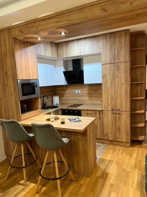 Izdavanje, jednosoban stan, 43m², Stari Aerodrom, Podgorica