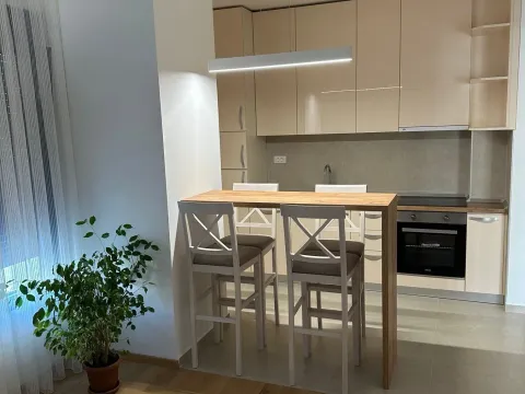 Rent, one bedroom apartment, 47m², Bečići, Budva - image 5