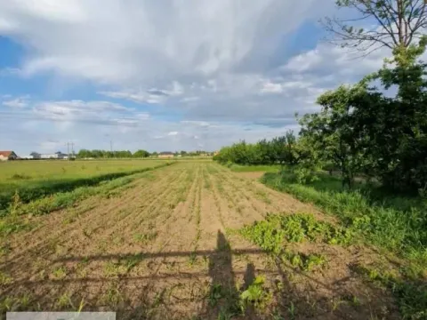 Prodaja, plac, 1000m², Zvečka, Obrenovac - image 2