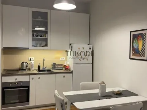 Izdavanje, garsonjera, 35m², Stari Grad, Beograd - image 4