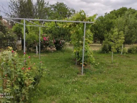 Sale, house, 30m², Ribnjak, Petrovaradin - image 2