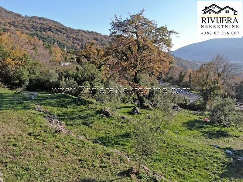Prodaja, plac, 2177m², Ratiševina, Herceg Novi