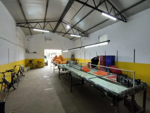 Prodaja, plac, 520m², Vrbas, Novi Sad - image 13