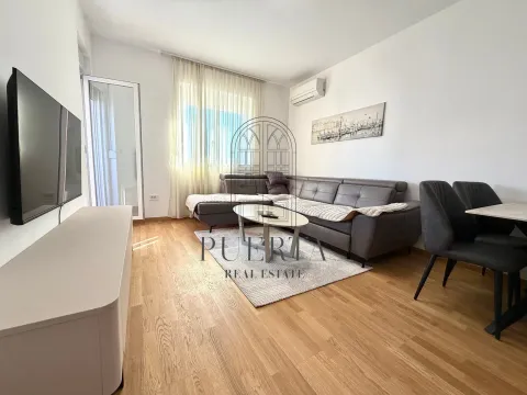 Rent, one bedroom apartment, 46m², Stari Aerodrom, Podgorica - image 1