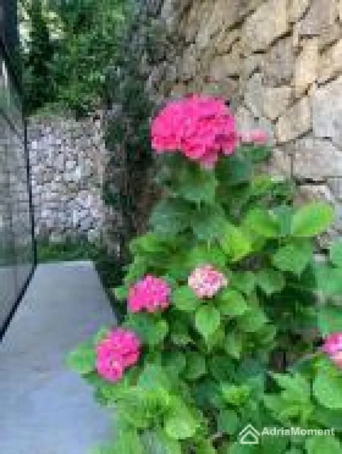 Sale, house, 350m², Prijevor, Budva