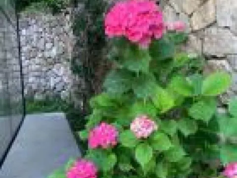 Sale, house, 350m², Prijevor, Budva - image 14