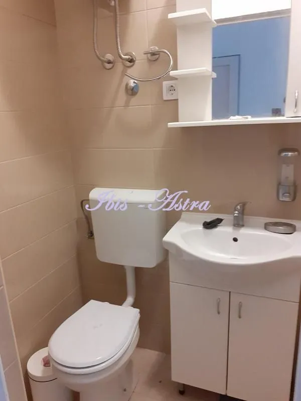 Izdavanje, trosoban stan, 59m², Vračar Centar, Vračar Sve Podlokacije