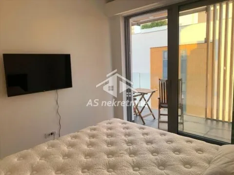 Rent, two bedroom apartment, 55m², Novi Beograd Blok 65, Novi Beograd Sve Podlokacije - image 12