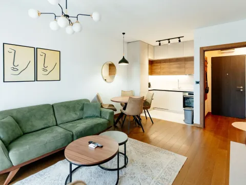 Rent, one bedroom apartment, 48m², Ljubović, Podgorica - image 6
