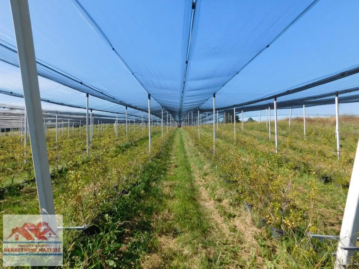 Sale, land lot, 350m², Kragujevac, Srbija