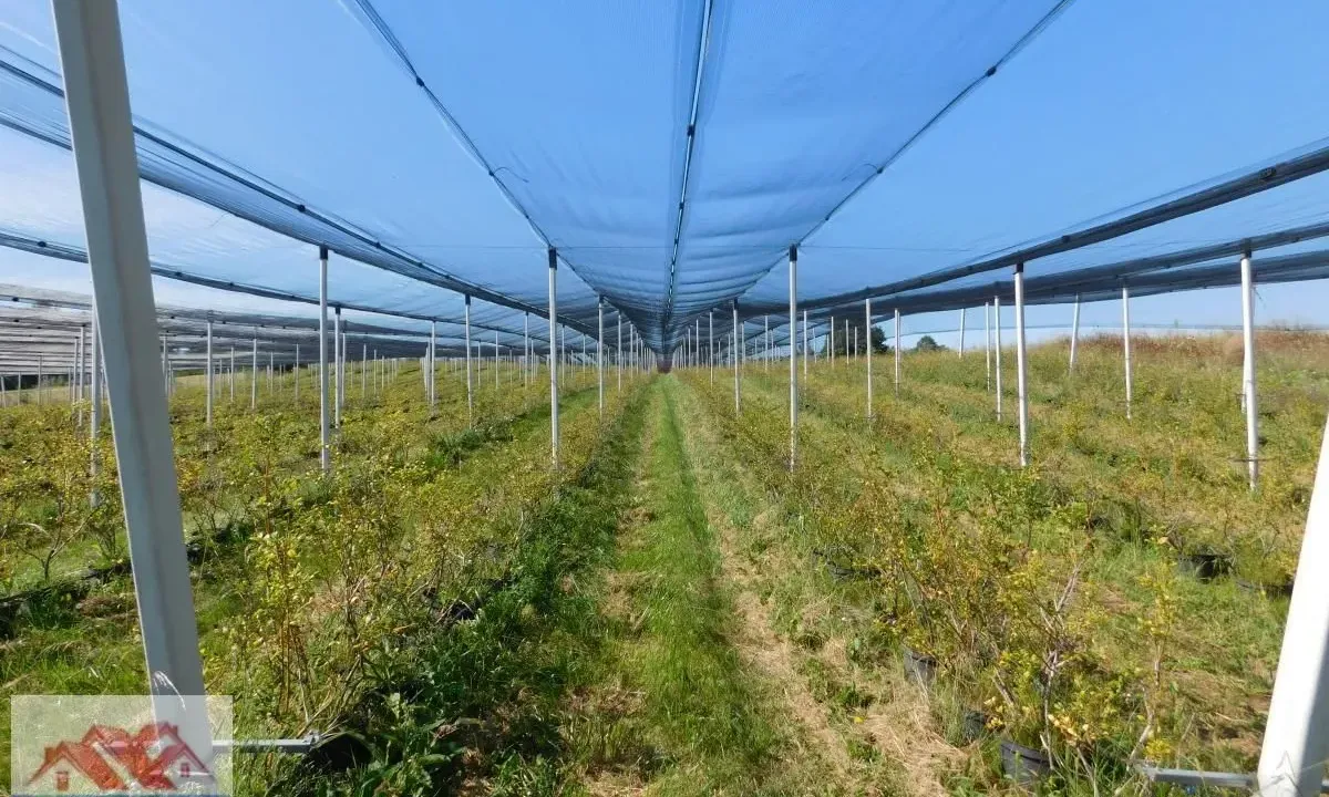 Sale, land lot, 350m², Kragujevac, Srbija