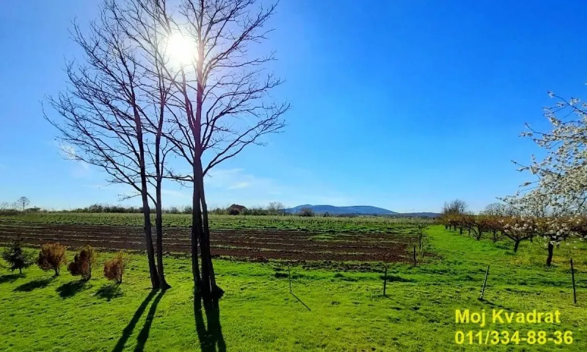 Prodaja, plac, 237m², Mladenovac, Beograd