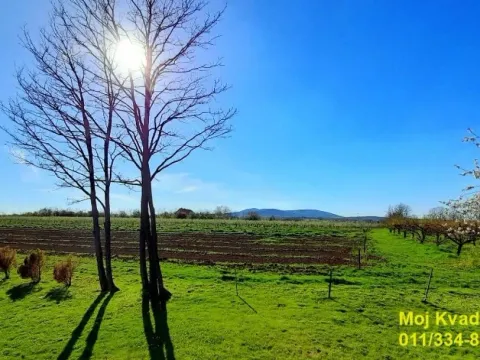 Sale, land lot, 237m², Mladenovac, Beograd