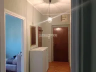 Izdavanje, dvosoban stan, 60m², Botanička Bašta, Palilula Sve Podlokacije - image 20