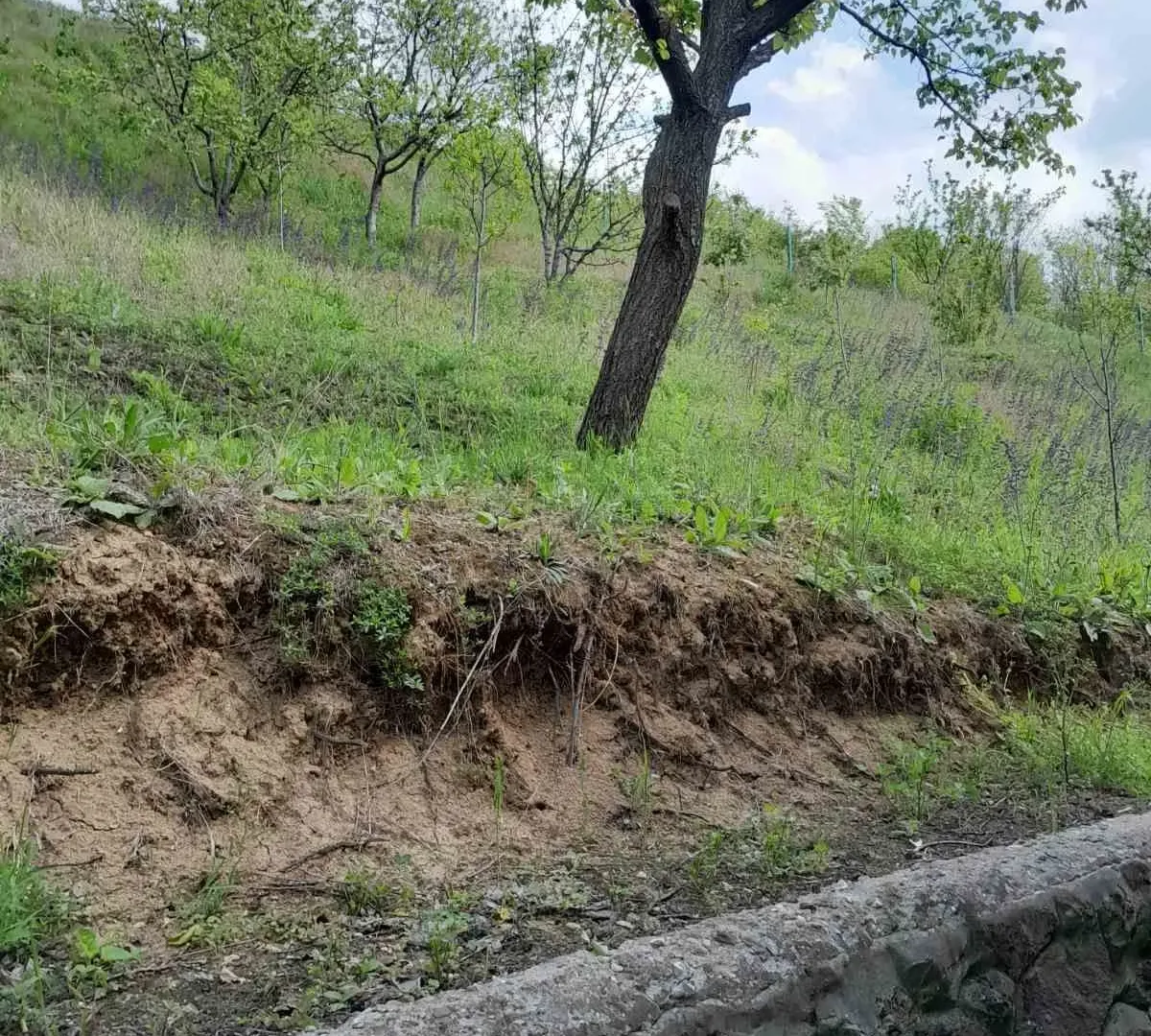 Prodaja, kuća, 120m², Rakovac, Novi Sad Sve Podlokacije