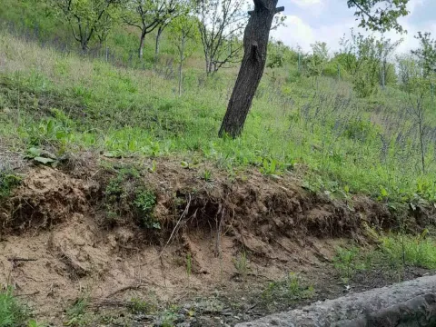 Prodaja, kuća, 120m², Rakovac, Novi Sad Sve Podlokacije - image 4