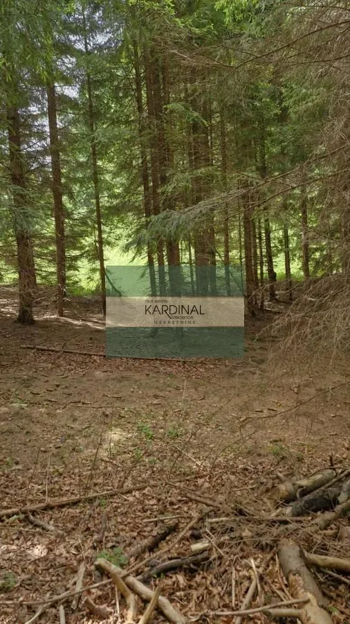 Prodaja, plac, 8500m², Mokra gora, Tara