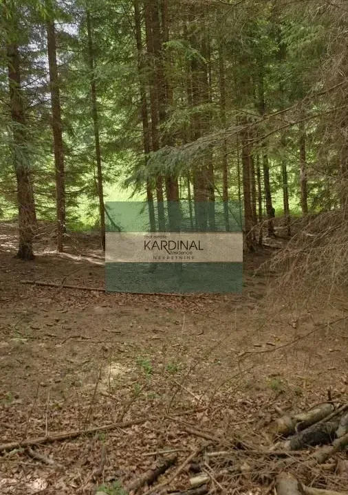 Prodaja, plac, 85m², Mokra gora, Tara