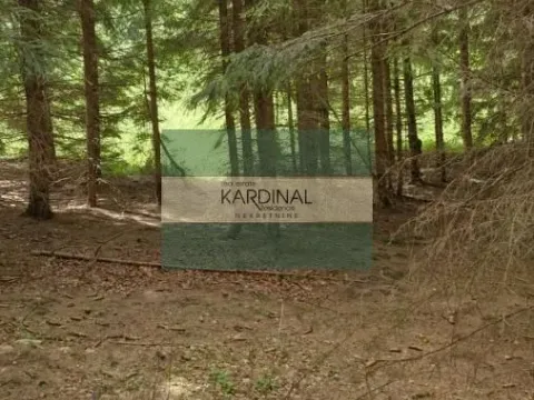 Sale, land lot, 85m², Mokra gora, Tara