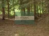 Prodaja, plac, 85m², Mokra gora, Tara - image 1