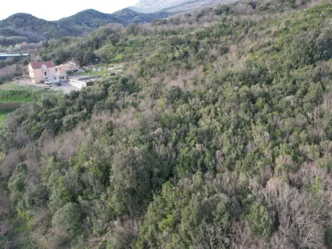 Prodaja, plac, 4000m², Radanovići, Kotor - image 6