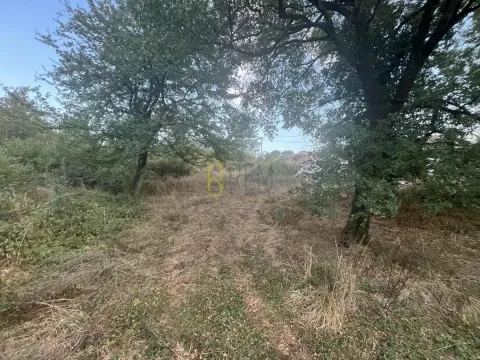 Zarasli plac sa drvećem i prirodnim rastinjem. - image 4