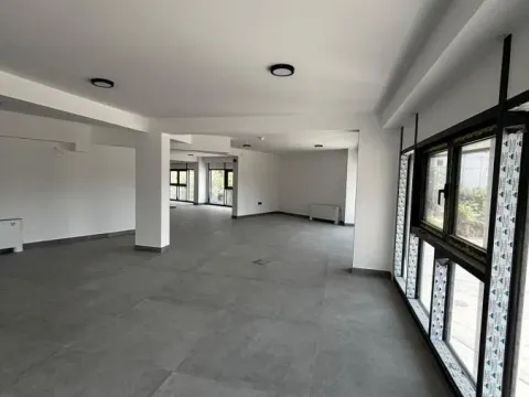 Izdavanje, poslovni prostor, 550m², Medijana, Niš - image 7